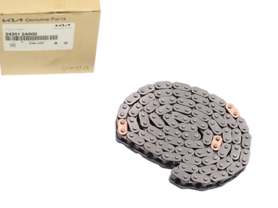 GENUINE 243512A600 Timing Chain for Hyundai Kia | eBay